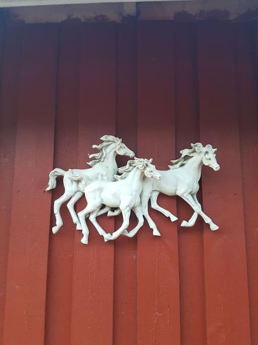 River Run Ranch - Telemark Drangedal Exterior photo