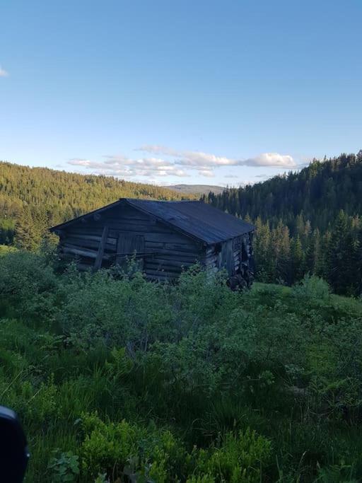 River Run Ranch - Telemark Drangedal Exterior photo